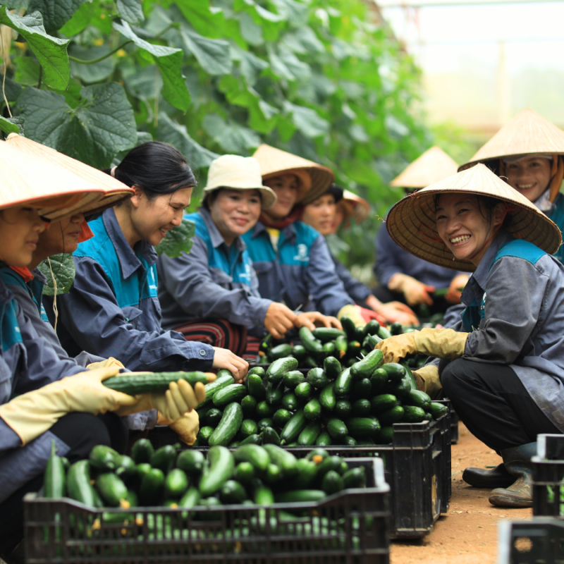 Phuong Minh Farm