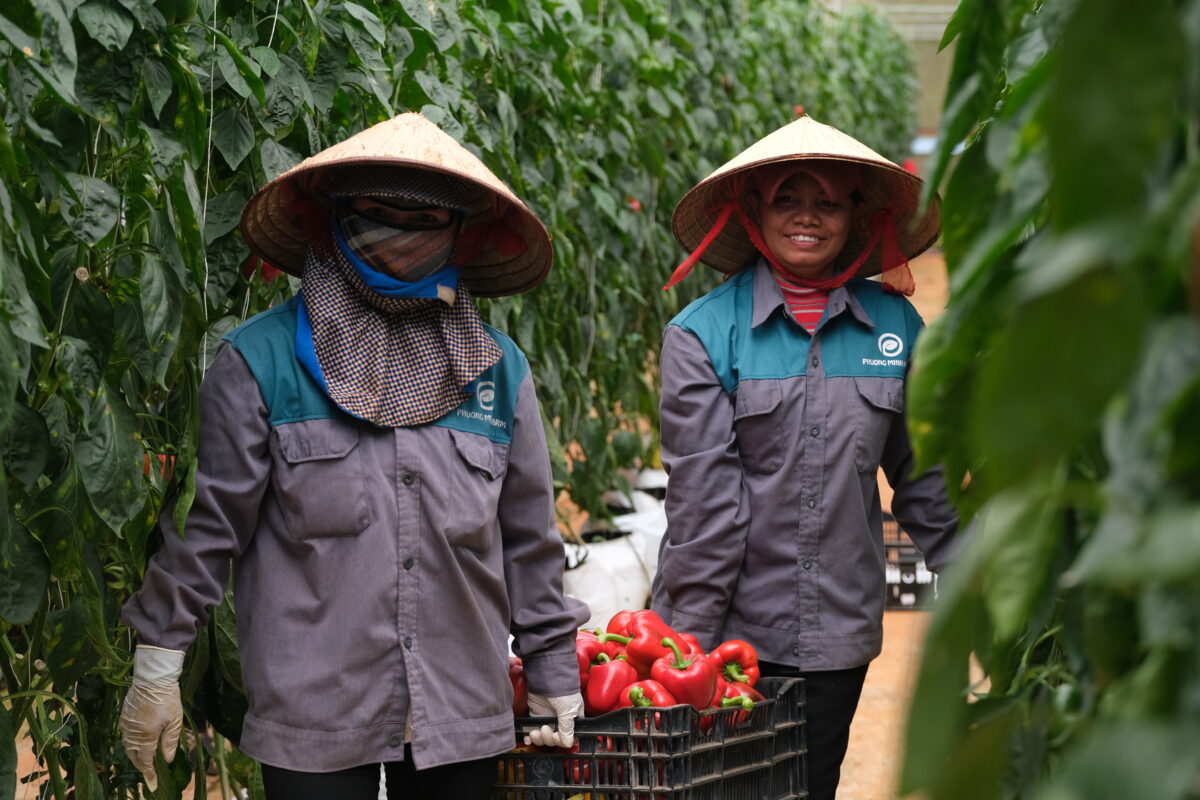 Phuong Minh Farm